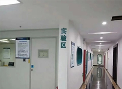 在[福建]怀孕了需要怎么办理亲子鉴定，福建产前亲子鉴定办理费用