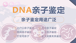 福建哪家医院可以做DNA鉴定，福建医院办理亲子鉴定办理流程